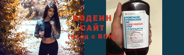 МДПВ Дмитриев