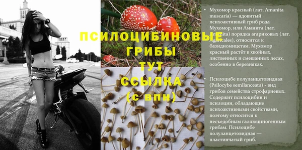 дмт Ветлуга