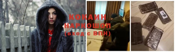 МДПВ Дмитриев