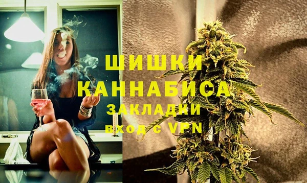 МДПВ Дмитриев