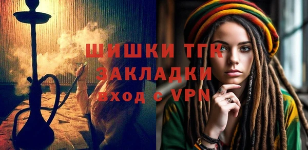 МДПВ Дмитриев