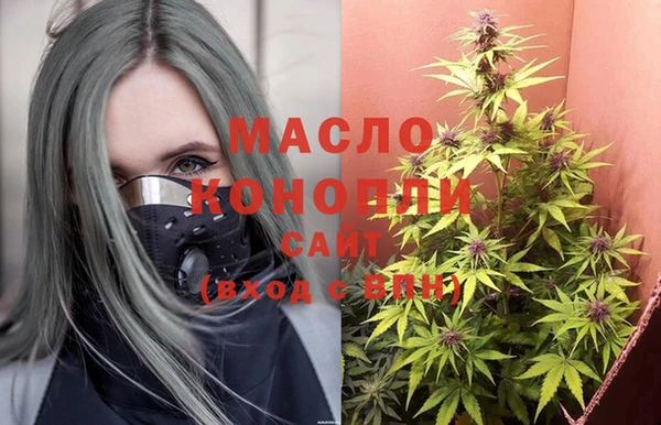 МДПВ Дмитриев