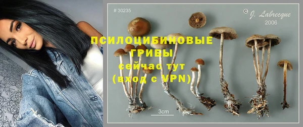 бошки Дмитровск