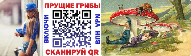 Псилоцибиновые грибы MAGIC MUSHROOMS  закладка  Западная Двина 